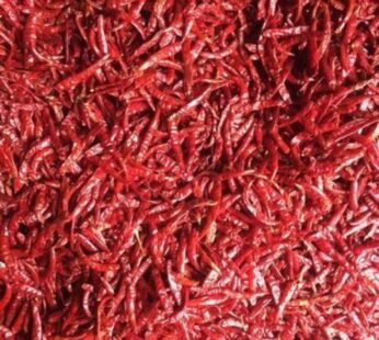 Guntur Red Chillies Dry