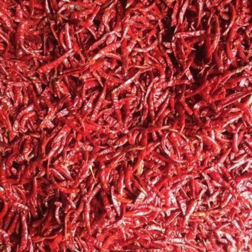 Guntur Red Chillies Dry
